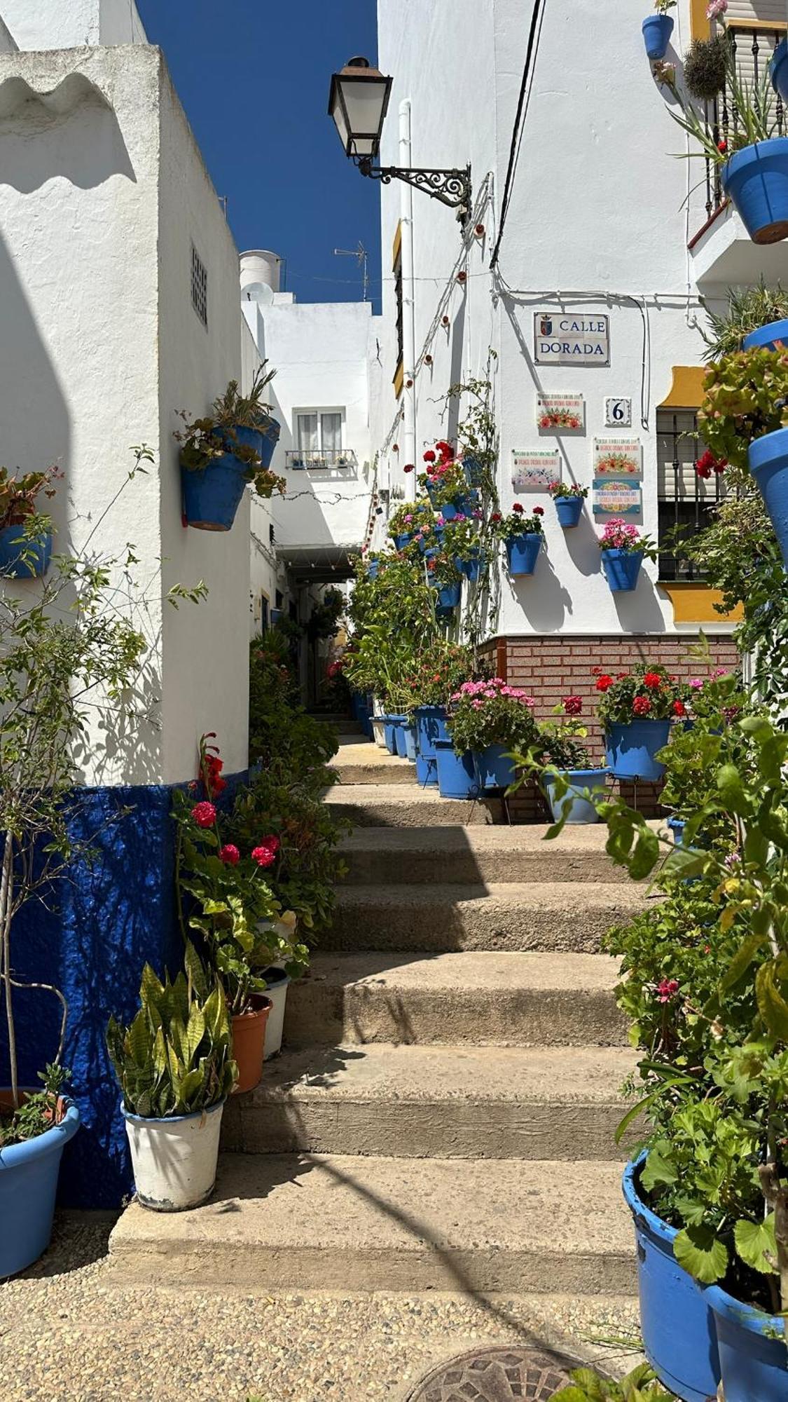 Apartment Susurros Del Mar Conil De La Frontera